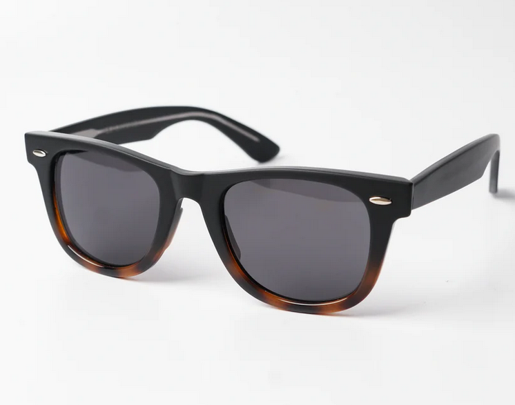 Wayfarer Sunglasses